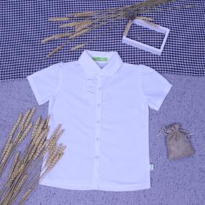 Áo bé gái đi học bèo ngực đồng phục học sinh nữ big size