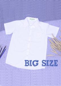 Áo sơmi trắng bé trai đồng phục học sinh nam big size